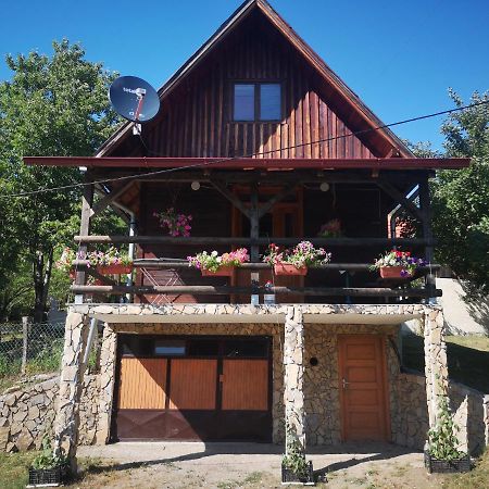 Vikendica Kod Brice Apartment Jevtici Exterior photo