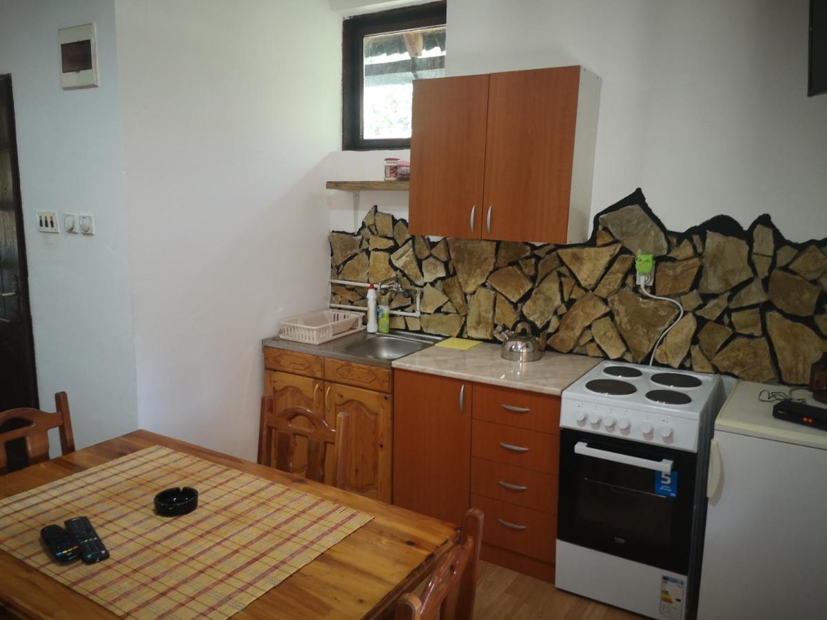 Vikendica Kod Brice Apartment Jevtici Exterior photo