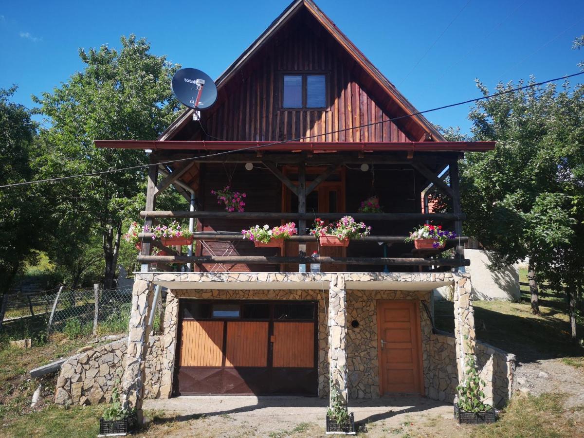 Vikendica Kod Brice Apartment Jevtici Exterior photo