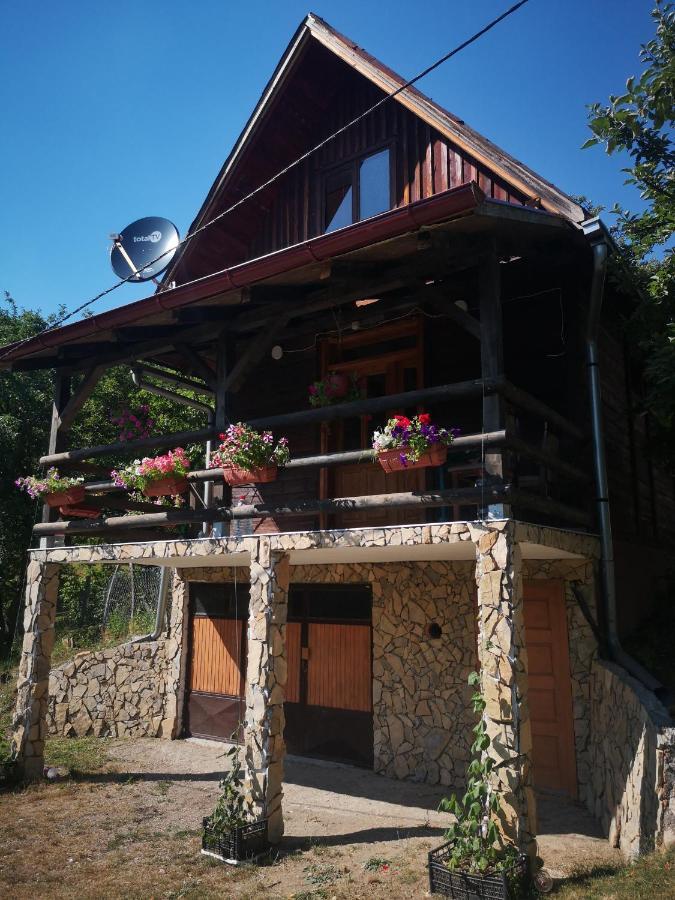 Vikendica Kod Brice Apartment Jevtici Exterior photo